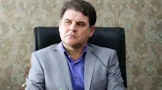 زینی‌وند: قانون احزاب در حال بازنگری است