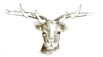 راز انقراض غول‌های عصر یخبندان بالاخره فاش شد!