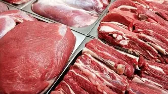 واردات روزانه بین ۳۰ تا ۴۰ تن گوشت گرم از پاکستان و برزیل
