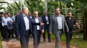 کمیسیون آموزش مجلس از دستاوردهای فناورانه کشاورزی در منطقه آزاد ارس بازدید کرد