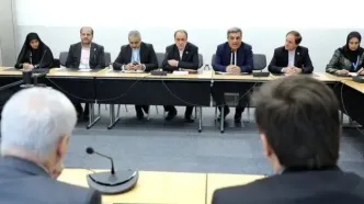 حاجی‌بابایی: آماده همکاری با برزیل هستیم