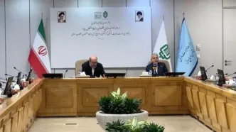 دولت با مشارکت بنیاد مستضعفان به دنبال بازآفرینی حیات روستایی است/ بیش از ۲۶ هزار فرصت شغلی جدید در روستاها ایجاد می‌شود