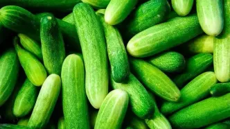 ۵ خوراکی که بهترین ترکیب را با خیار شکل می‌دهند