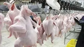 قیمت‌های مصوب گوشت مرغ و تخم مرغ تا پایان سال جاری تغییر نمی‌کند
