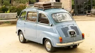 اولین مینی‌ون مدرن جهان؛ کوچک و دوست داشتنی