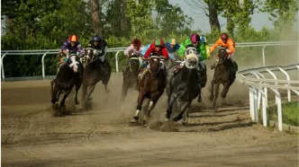 جنجال کشته و مصدوم شدن دو اسب پیش از مسابقات