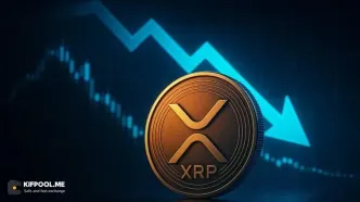 افزایش معاملات DEX ریپل؛ نشانه‌ای از انباشت پول هوشمند؟
