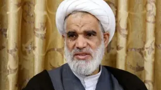 شورای عالی امنیت ملی نمی‌تواند جلوی قانون حجاب را بگیرد