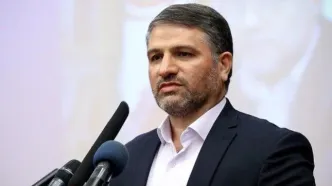 رئیس سازمان پزشکی قانونی: پرونده "پژمان جمشیدی" هنوز به پزشکی قانونی ارجاع نشده است