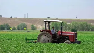 شهرک‌های تخصصی کشاورزی راه‌اندازی می‌شود