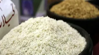 برنج ایرانی ارزان شد