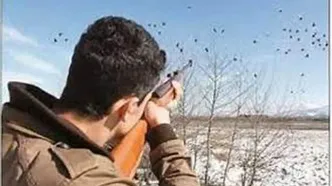 دستگیری عوامل تیراندازی به ماموران منابع طبیعی مازندران