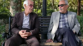 اطلاعیه مهم روز شنبه برای بازنشستگان تامین اجتماعی | حقوقتان ممکن است نصف شود