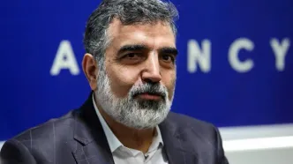 هیچ دارایی و حساب سازمان انرژی اتمی در ترکیه مسدود نشده است