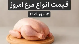 قیمت انواع مرغ امروز ۱۲ مهر ۱۴۰۴ اعلام شد + جدول کامل