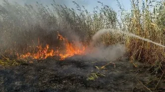 انتقاد نماینده اهواز از بی‌توجهی به ریزگردهای خوزستان: باید ریزگرد‌ها به تهران برسد تا برای استان‌های غرب کشور و خوزستان اقدامی شود؟