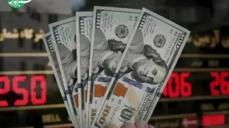 دلار منفجر شد! قیمت ارزها در ۸ آبان ۱۴۰۴ زیر و رو شد