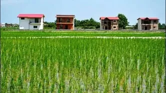 واکنش نماینده مازندران به ادعای ساخت و ساز گسترده در زمین‌های جنگلی و شالیزاری توسط یک شرکت مدیریت پسماند