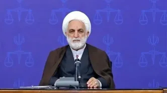 اژه‌ای: قوه قضاییه آماده پشتیبانی‌های حقوقی و قضایی از جامعه پرستاری کشور است