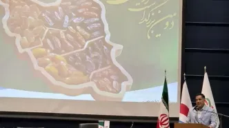 اعلام خطر انجمن‌های خرمای خوزستان از تاثیر تنش و شوری آب بر نخلستان‌های جنوب