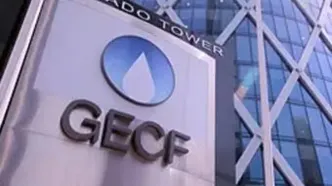 پیشنهاد ایران برای ارتقای جایگاه GECF