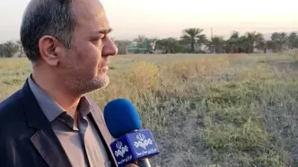 ۷۳ درصد مطالبات کشاورزان پیازکار پرداخت شد