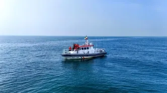 اجرای گشت دریایی مشترک برای حفاظت از فوک خزری در گیلان