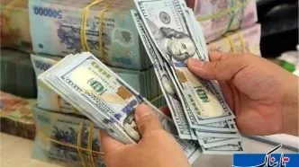 ریزش قابل توجه قیمت دلار آزاد اول صبح چهارشنبه ۲۳ مهر ۱۴۰۴ | قیمت لحظه‌ای دلار و یورو امروز در بازار آزاد