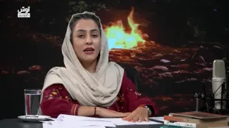 «شاخه گلی برای امیلی»