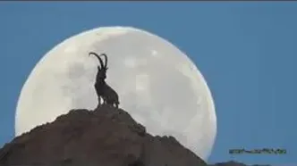 تصویری دیدنی از کوهی و ماه در نزدیکی خورموج