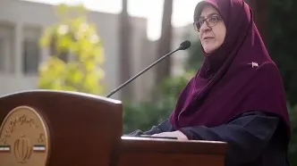 مهاجرانی: درخواست ایران برای نشست با ویتکاف در نیویورک رد شد