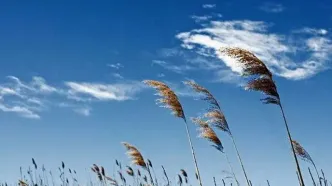 جوی آرام در بیشتر مناطق کشور