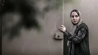 بیوگرافی نسرین بابایی؛ شکوه سریال شغال