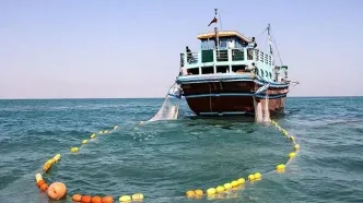 توقیف ۵ شناور در هرمزگان؛ علت چه بود؟