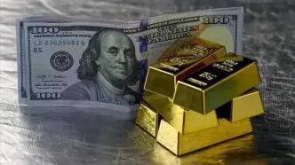 قیمت دلار و ارزهای خارجی در ۲۴ مهر ۱۴۰۴