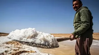 تصاویر؛ برداشت سنتی نمک