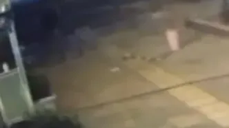 پایان عربدکشی خیابانی در تهرانپارس با عملیات پلیس