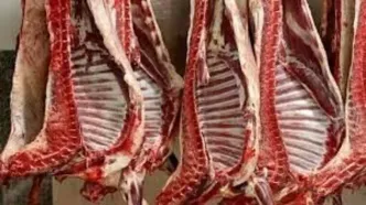 توزیع گوشت وارداتی با قیمت زیر ۷۰۰ هزار تومان از هفته آینده