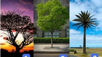 تست شخصیت شناسی: تیپ شخصیتی خود را کشف کنید !