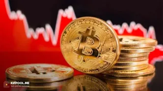 چرا همه نگران آلت‌کوین‌ها هستند؟ جدیدترین وضعیت