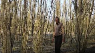 راننده‌ای که ۸۵ هکتار شوره‌زار را سبز کرد!