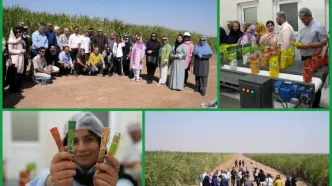 شاعران و داستان‌نویسان از نیشکر فارابی بازدید کردند/ خوزستان میزبان هنرمندان در سومین شکرستان ادبی شد