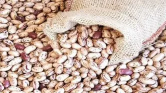 لوبیا را به دلار آمریکا بخرید، به صرفه‌تر است!