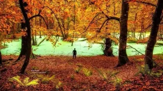 مرداب شگفت‌انگیز دیوک؛ جایی میان خیال و واقعیت