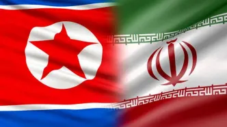 محمدعلی امانی به کره شمالی رفت