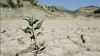 مردم باید با کم‌آبی زندگی کنند!