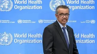 سازمان جهانی بهداشت: وضعیت غزه همچنان فاجعه‌بار است