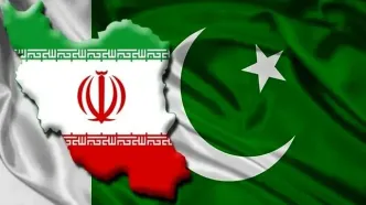 سفر مجدد وزیر کشور پاکستان به ایران در کمتر از یک هفته خبر