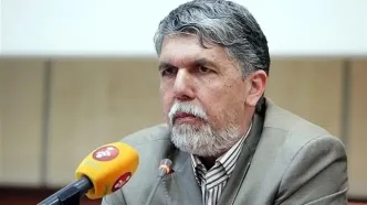 واکنش وزیر فرهنگ به دستگیری جنجالی بازیگر سینما
