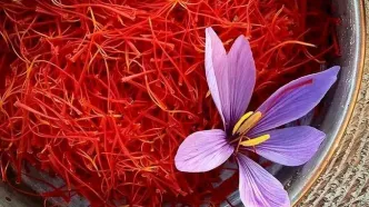 آمار معاملات زعفران در هفته گذشته؛ معامله  ۱۵۳.۲ میلیارد تومانی
